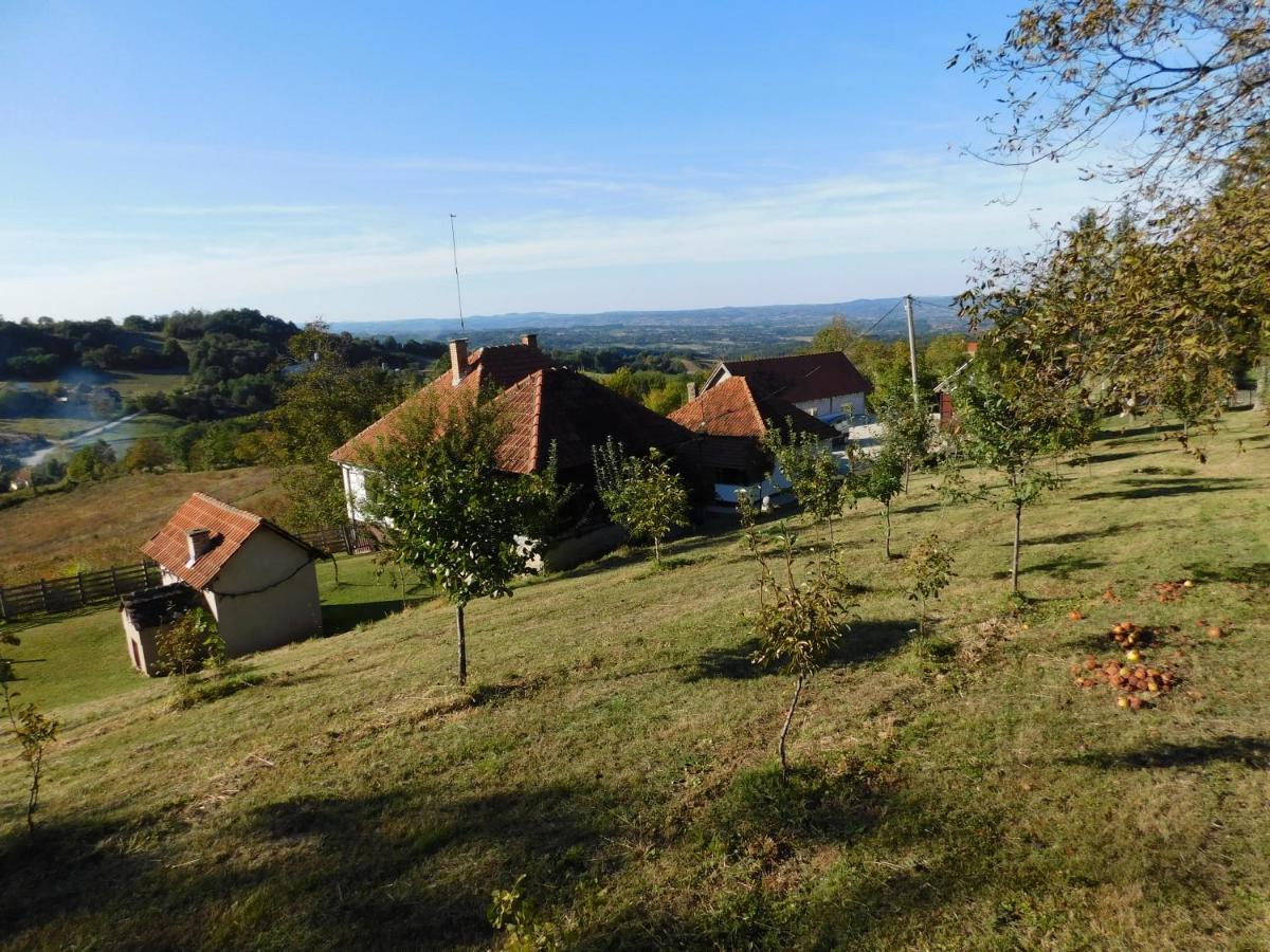 Ranc Sretenovic Apartamento Mionica Exterior foto